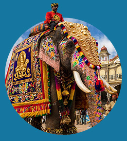 Dasara Festival Experience